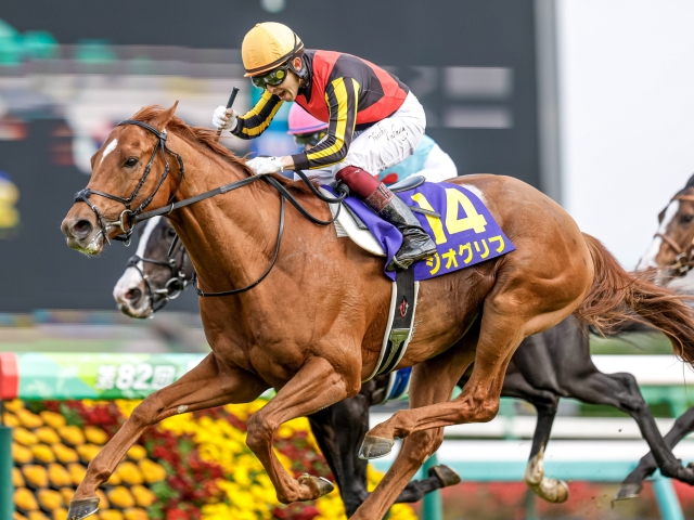 今日の注目ポイント】競馬の祭典・日本ダービー、最終は伝統のハンデ戦 ...