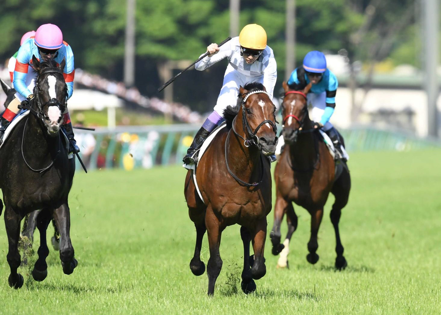 日本公式の通販 ドウデュース 日本ダービーポスター