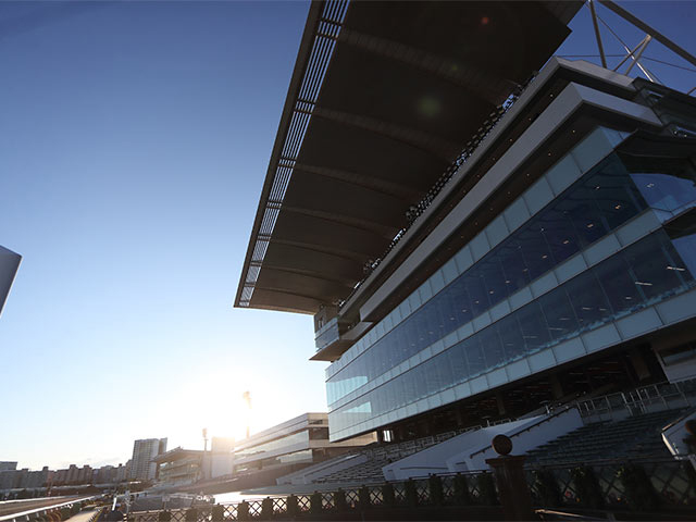 地方競馬】大井・帝王賞当日の入場人員は5000人程度に 事前申込、抽選販売でのみ入場可能 | 競馬ニュース - netkeiba