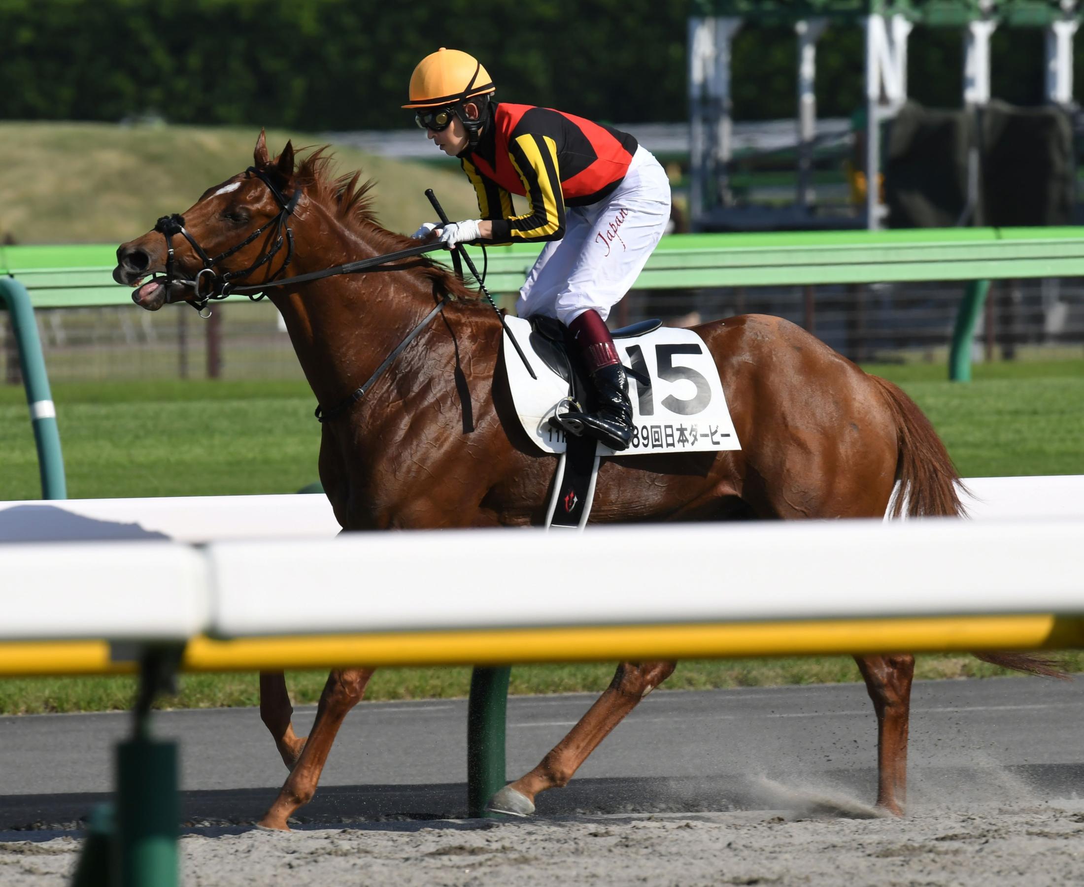 ジオグリフ ジャケット 競馬ジャンバー - ブルゾン