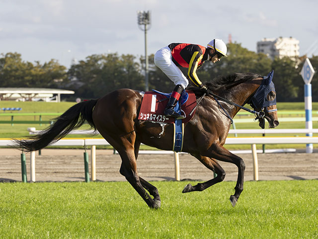 安田記念 調教後馬体重】シュネルマイスターは498kg、イルーシヴ