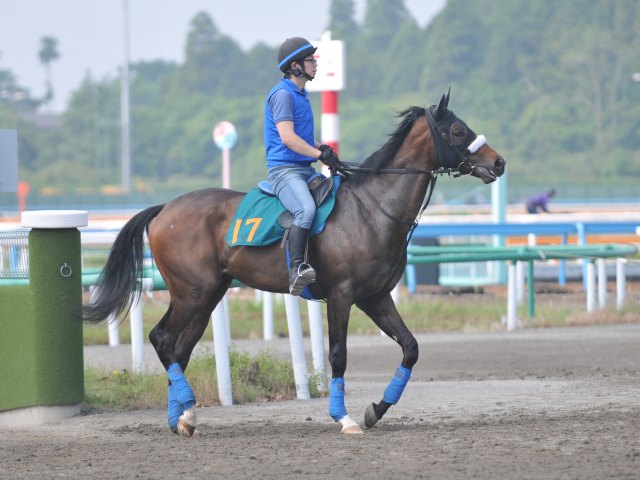 母は米2歳牝馬チャンピオン 3億円馬ダノンザタイガーがデビュー/関東馬メイクデビュー情報 | 競馬ニュース - netkeiba