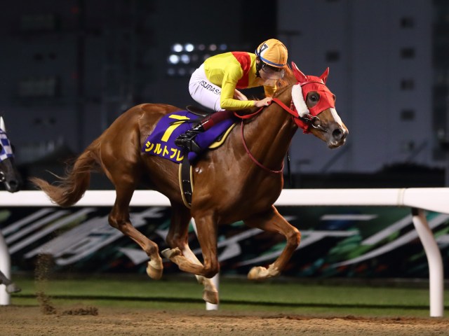 北海優駿予想】各地の三冠競走の中心に門別出身馬の存在 実績馬も参戦の北のダービー | 競馬ニュース - netkeiba