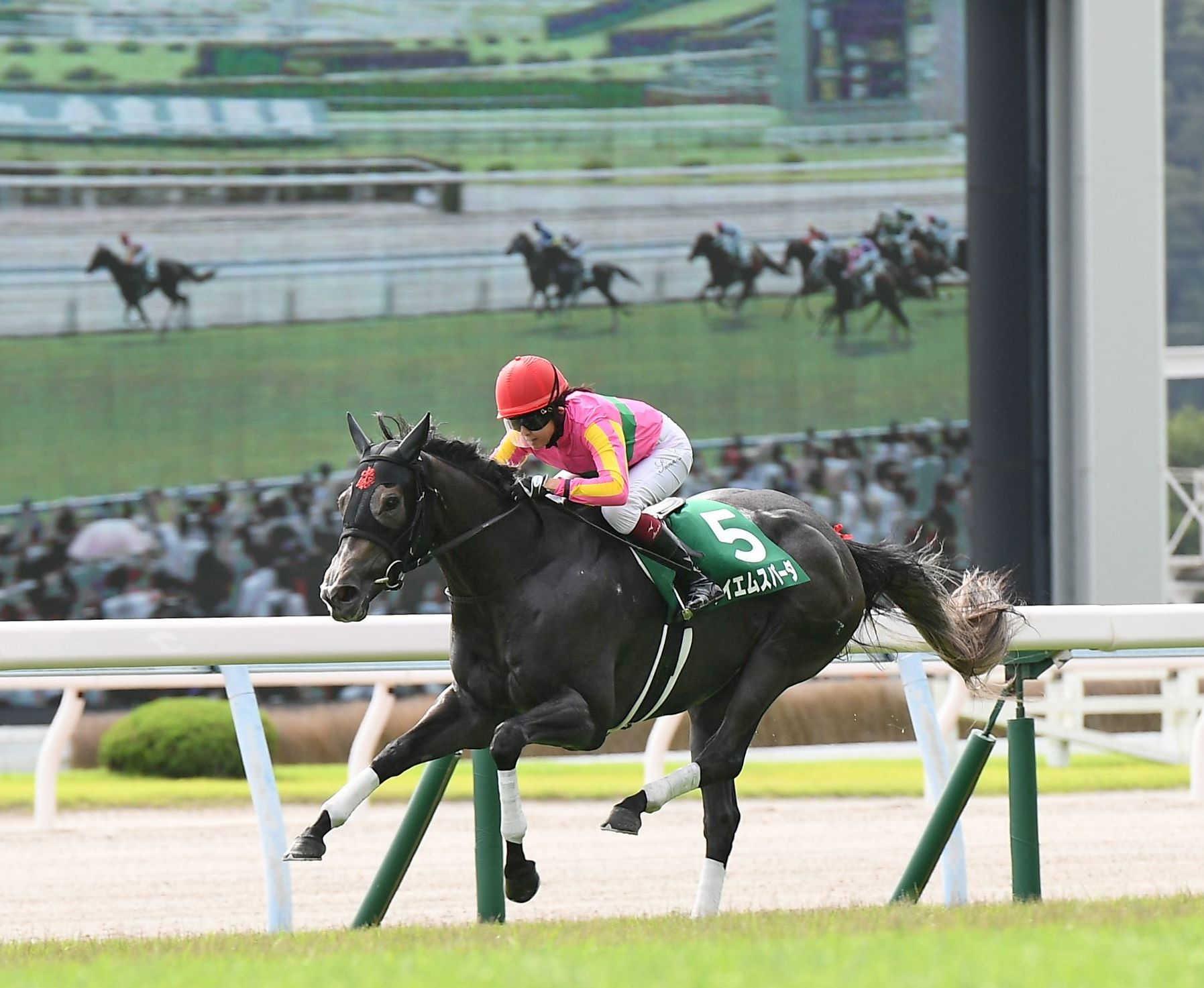 ＣＢＣ賞】テイエムスパーダ驚速Ｖ 影も踏ませぬ逃走劇！日本レコード１分５秒８ | 競馬ニュース - netkeiba