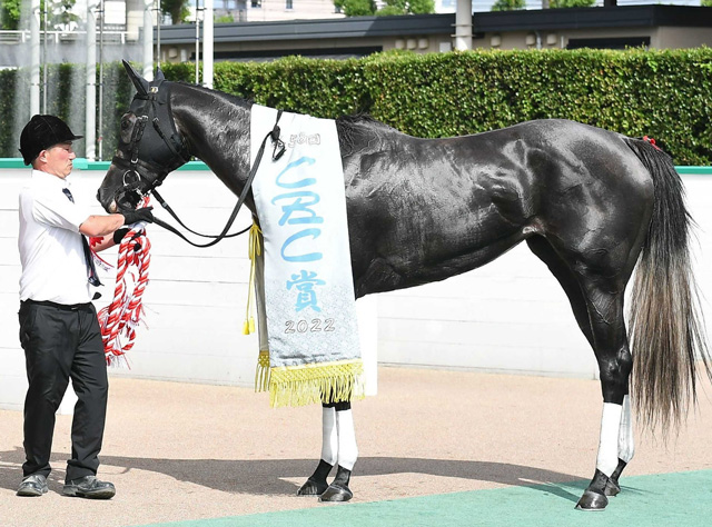 今村聖奈でＣＢＣ賞Ｖテイエムスパーダは主戦・国分恭介とのコンビで北九州記念へ | 競馬ニュース - netkeiba