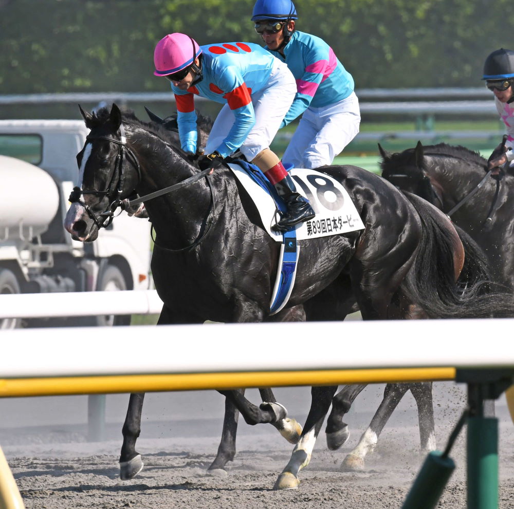 ☆JRA 競馬 天皇賞・秋バナー イクイノックス ✕ シャフリヤール