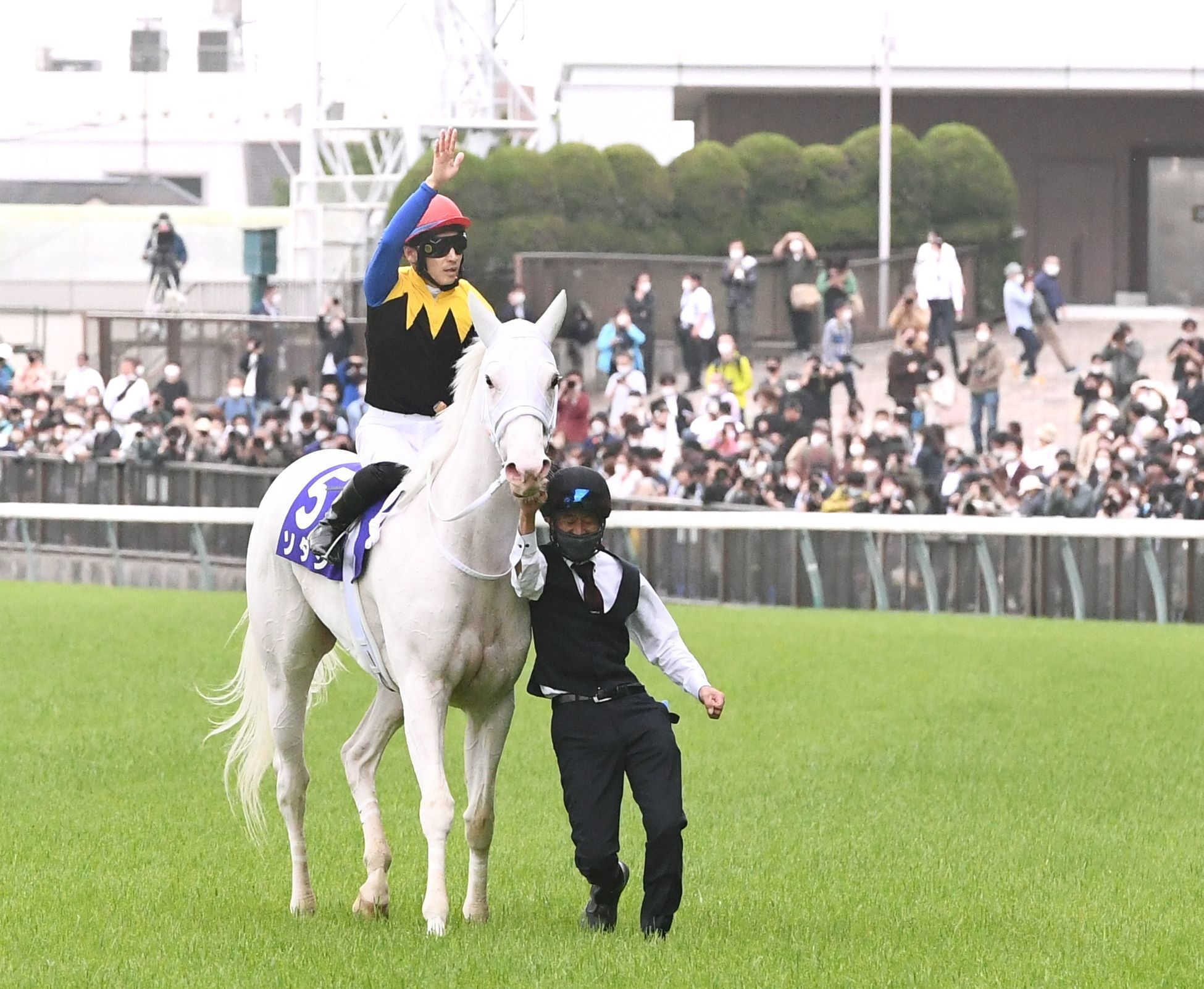 新作グッ ソダシ ゼッケンコースター 東京競馬場 限定 白毛 UFV0Z