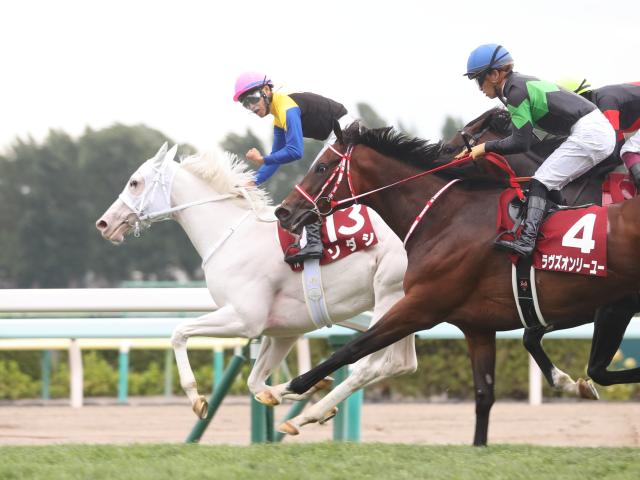 JRA】札幌記念当日は入場券の当日現金発売を実施せず 指定席券か入場券