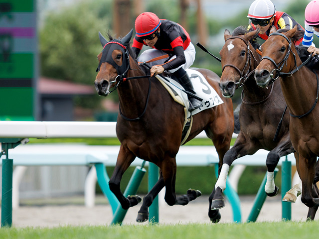 札幌5R新馬戦結果】ドゥアイズが瞬発力勝負を制す 吉田隼人騎手は通算 