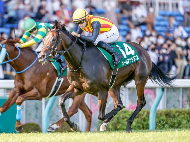 競走馬 ダービー牝馬 ウオッカ アクリルオブジェ-