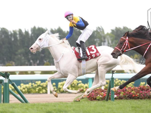 札幌記念予想オッズ】前年覇者ソダシが予想1番人気 | 競馬ニュース