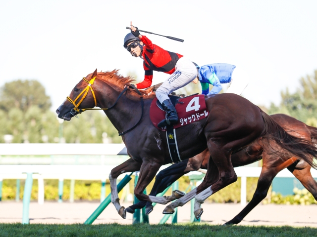 ☆日本売☆ ［競馬］ジャックドール（2022年札幌記念）ミニゼッケン