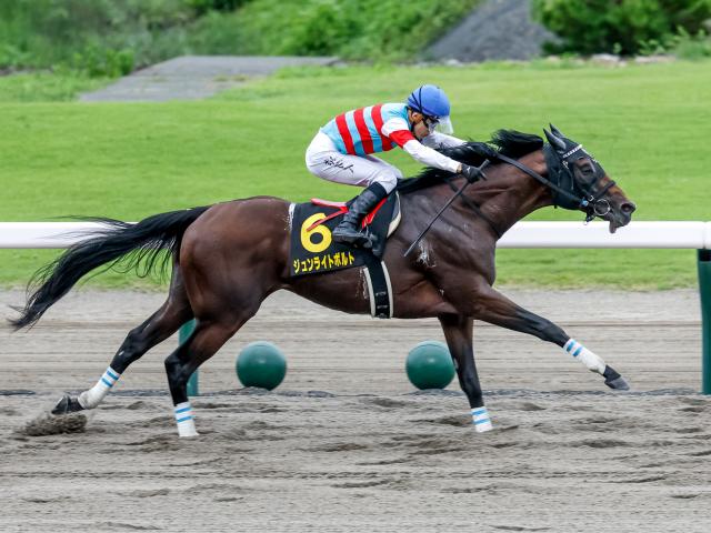 石川裕紀人 ジュンライトボルト サインカード - その他