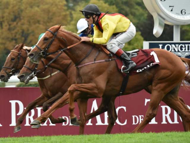 凱旋門賞馬トルカータータッソと独ダービー馬サンマルコが対決 新たな刺客登場か/独G1・バーデン大賞 | 競馬ニュース - netkeiba