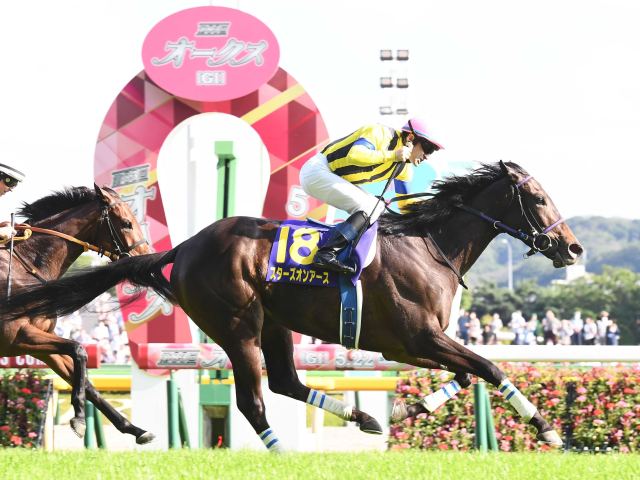 競馬 ポスター スターズオンアース - yanbunh.com