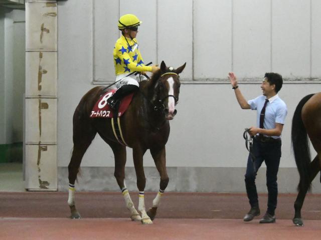 競馬完璧予想 絶好調3連複＆3連単 WIN5は今年すでに3回的中させています - 情報