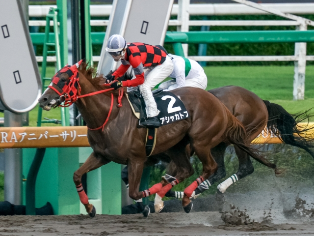 ラジオ日本賞結果】アシャカトブが人気のウィリアムバローズをゴール前