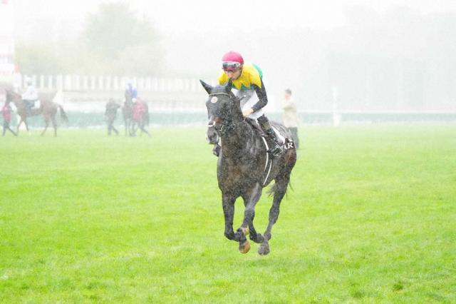 凱旋門賞】日本勢無念…タイトルホルダー11着が最高 悲願頂点ならず、雨