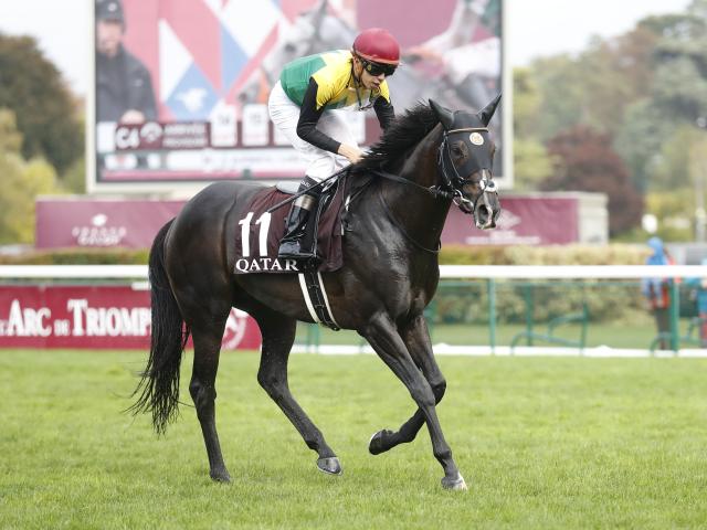 凱旋門賞レース後コメント】タイトルホルダー横山和生騎手ら | 競馬ニュース - netkeiba