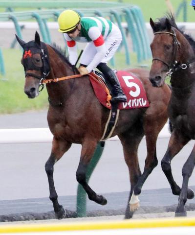 毎日王冠】レイパパレ4着で復活星ならず 川田将雅騎手「昨年の大阪杯の