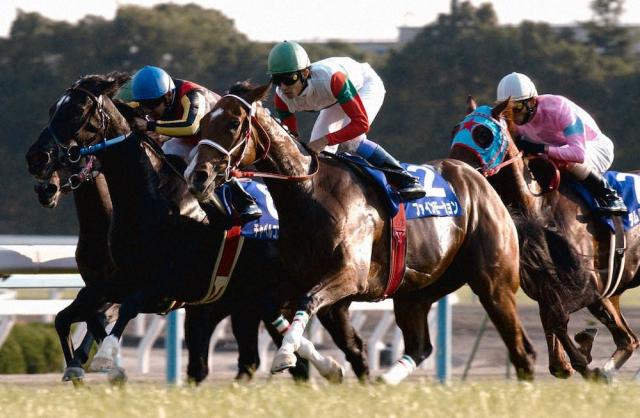 京都競馬場 第７回 秋華賞 ファインモーション優勝 武豊 直筆サイン入り