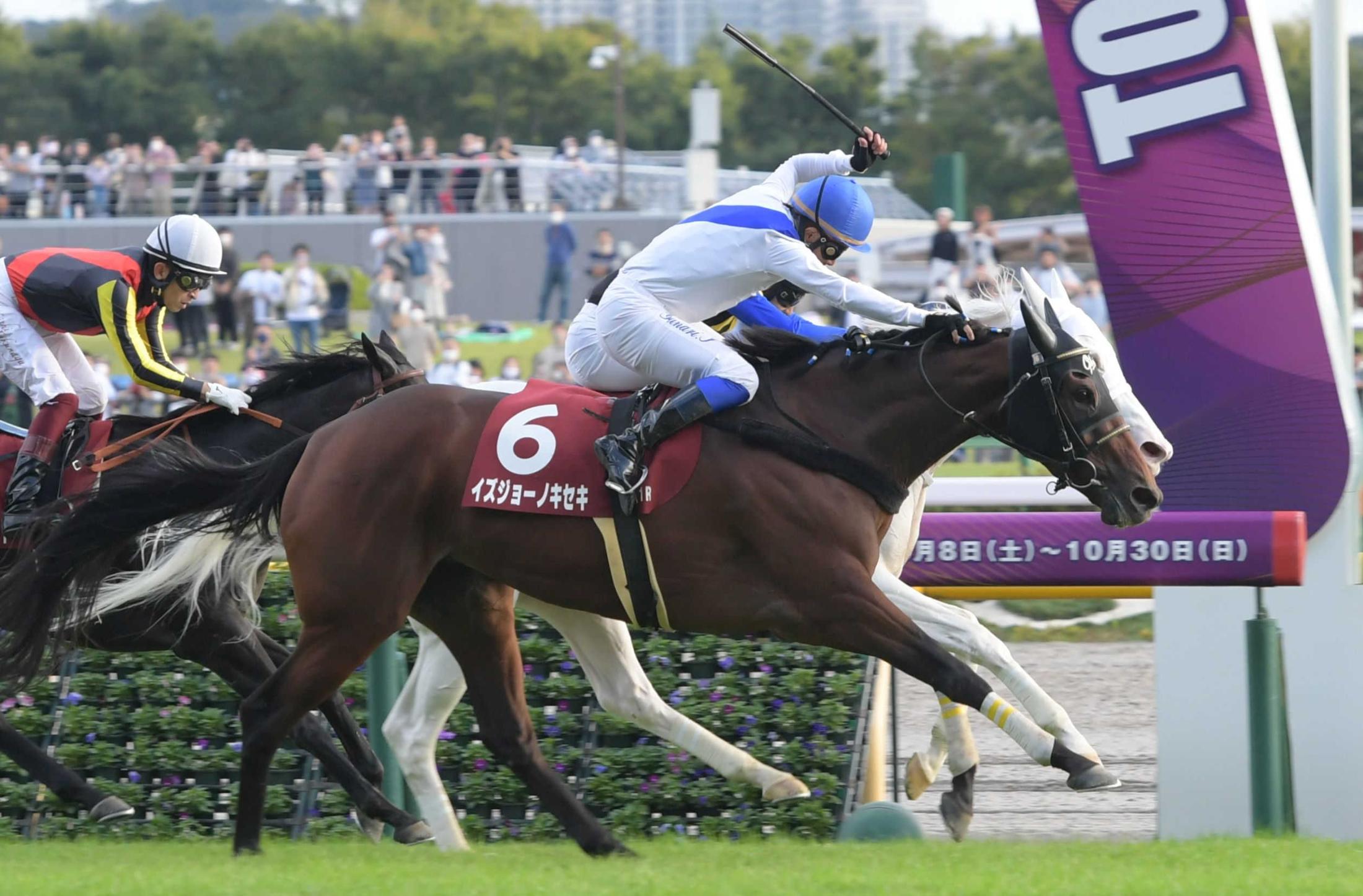 府中牝馬Ｓ】イズジョーノキセキ強襲劇 園田時代と同じ勝負服で岩田康会心騎乗 | 競馬ニュース - netkeiba