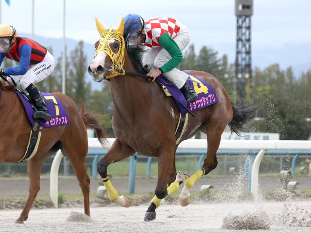 競馬 優勝レイ 兼六賞 第12回 金沢競馬 記念品 レア 地方競馬 1983