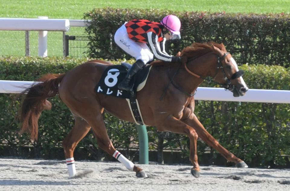 イクイノックス　競馬　競走馬　ジャージ　ブルゾン