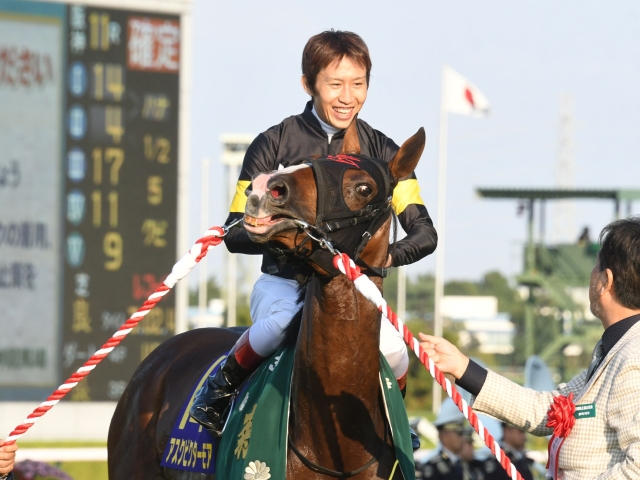 菊花賞レース後コメント】アスクビクターモア田辺裕信騎手ら | 競馬ニュース - netkeiba