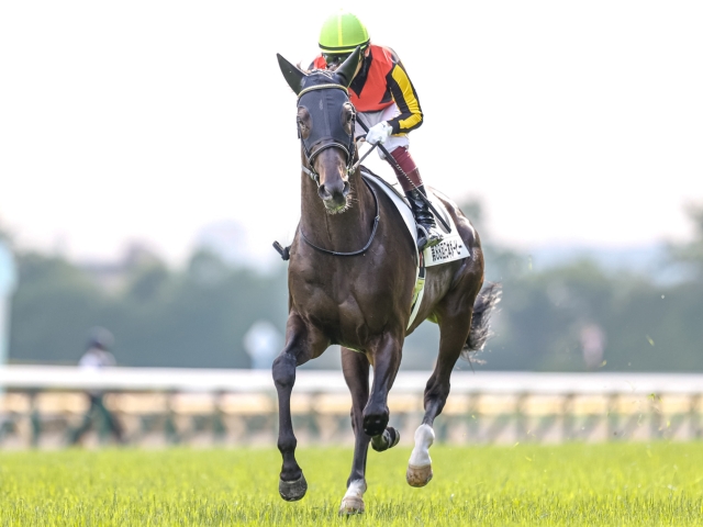 天皇賞(秋)】登録馬 シャフリヤール、イクイノックスなど15頭 | 競馬