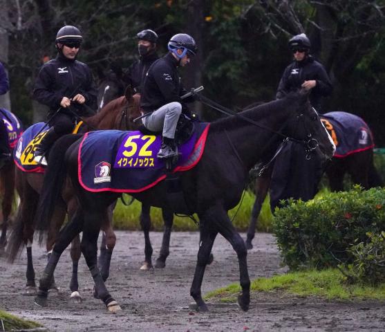 天皇賞・秋】3歳馬連覇に光 イクイノックス差し切る | 競馬ニュース