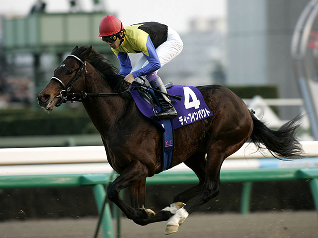 ディープインパクト 2005年有馬記念 旧型単勝馬券 現地 - コレクション