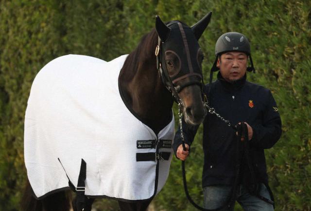 天皇賞・秋】シャフリヤールは5枠8番、ジオグリフ4枠6番、イク