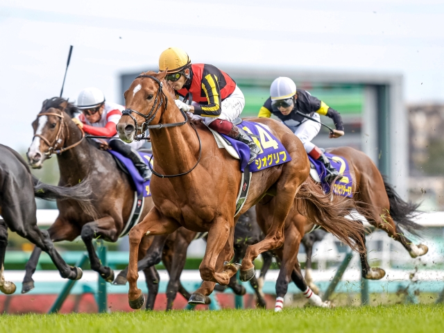 天皇賞・秋予想】勝率「6％」を狙い撃ち!? 昨年に続き“恐ろしく高い”3歳世代のレベル | 競馬ニュース - netkeiba