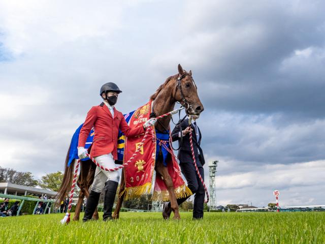 天皇賞・秋 調教後馬体重】ジオグリフは516kg、シャフリヤールは462kg