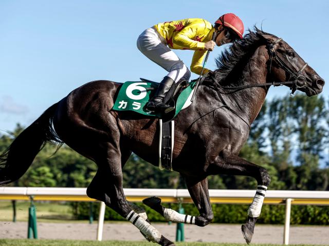 天皇賞秋に出走する15頭の馬名意味・香港馬名を紹介！ 『北橋』『傾城