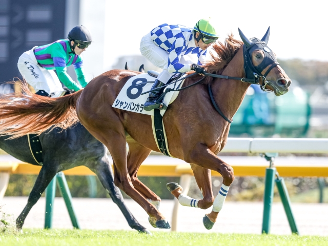 東京5R新馬戦結果】シャンパンカラーがV、戸崎圭太騎手はJRA1300勝達成