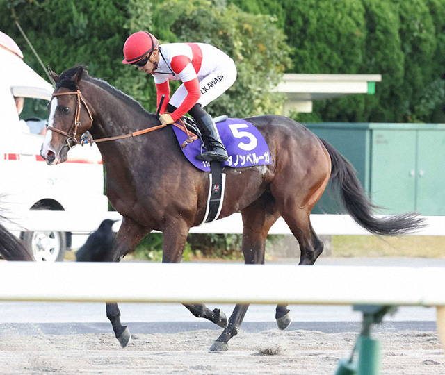 天皇賞・秋】ダノンベルーガは3着 川田「最後も素晴らしい脚を使って