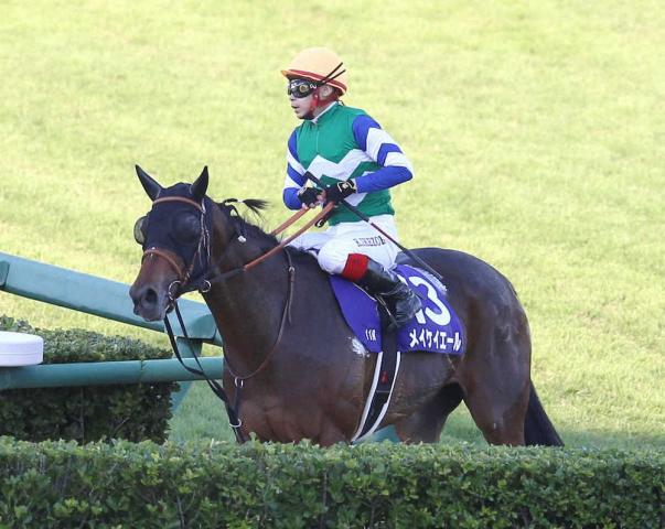 メイケイエール、香港スプリントの招待受諾 | 競馬ニュース - netkeiba.com