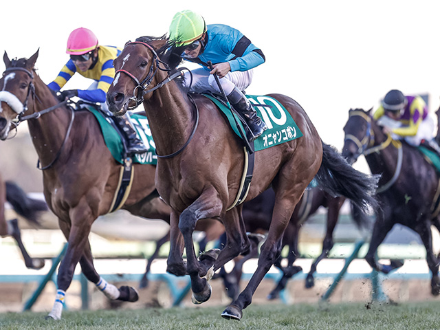 福島記念見どころ】オニャンコポンの巻き返しなるか | 競馬ニュース