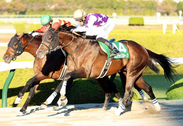 みやこS】単勝90.7倍サンライズホープV「意外すぎる内容で頭の整理が」 | 競馬ニュース - netkeiba