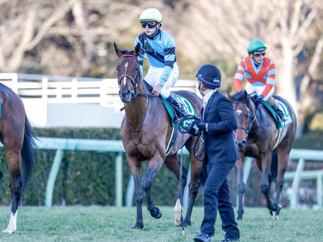 福島記念枠順確定】オニャンコポンは6枠12番、アラタは1枠1番 | 競馬