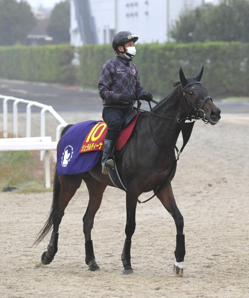 非売品】ジェラルディーナ エリザベス女王杯優勝記念ブルゾン 未使用