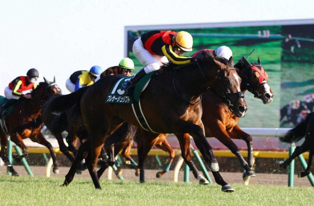 秋華賞9着プレサージュリフト、1・5スポニチ賞京都金杯に照準 | 競馬