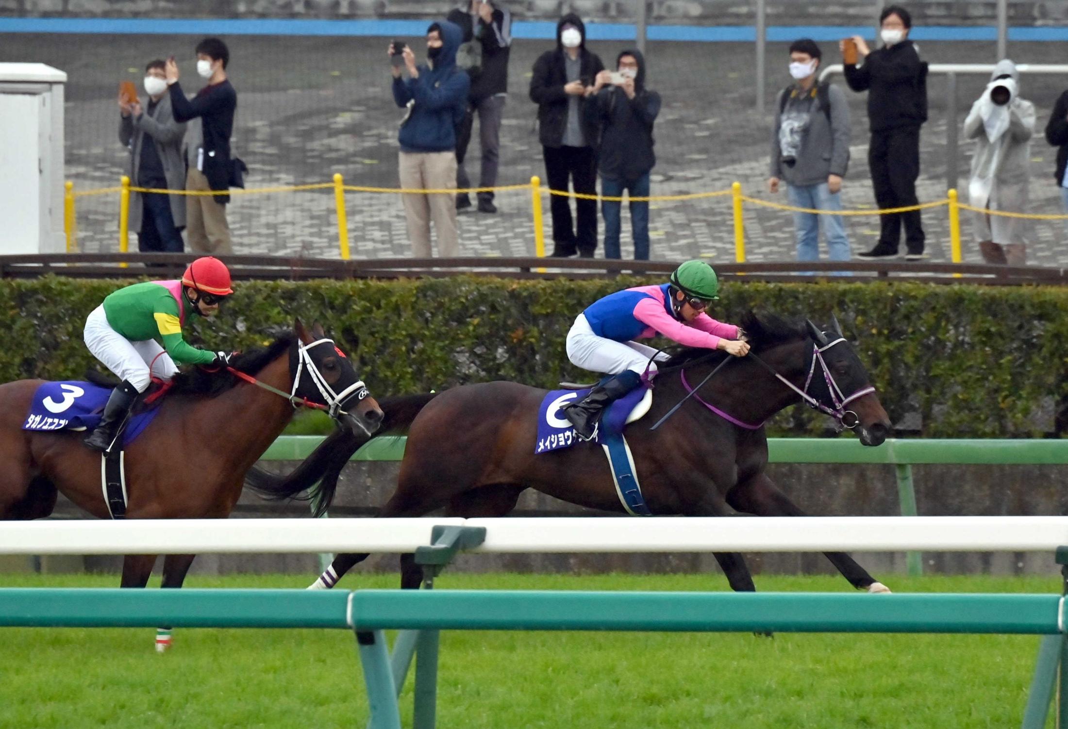 20年度最優秀障害馬メイショウダッサイが引退 飯田祐師「障害馬として求められるものを全てを持っていた」 競馬ニュース netkeiba