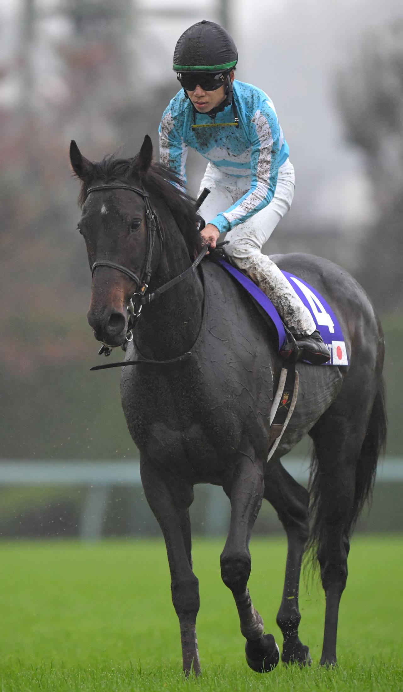 デアリングタクトが新鞍上マーカンドでジャパンＣへ | 競馬ニュース