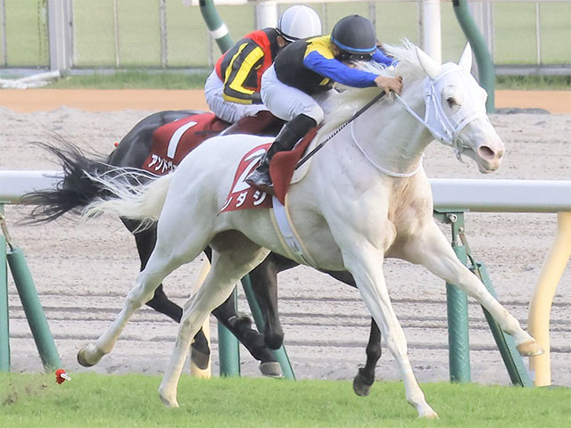 マイルCS・馬体重】ソダシは480kg(+2)、シュネルマイスターは494kg(+4