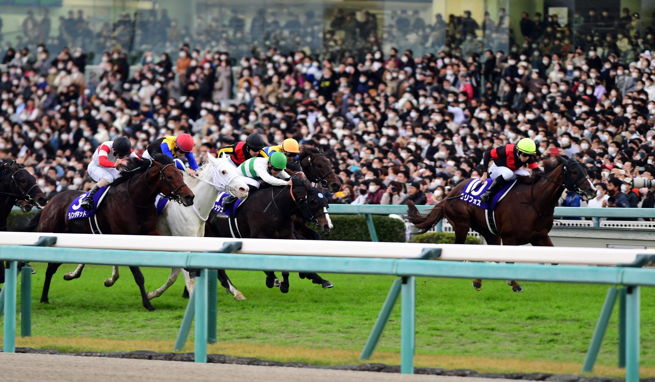 マイルＣＳ】６番人気セリフォスがＧ１初制覇 | 競馬ニュース