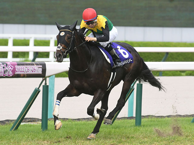 有馬記念】ファン投票第1回中間発表、タイトルホルダーが首位 | 競馬