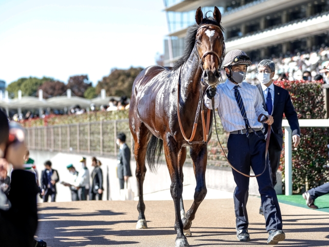 メイクデビュー東京6Rレース後コメント】タスティエーラ R.ムーア騎手ら | 競馬ニュース - netkeiba